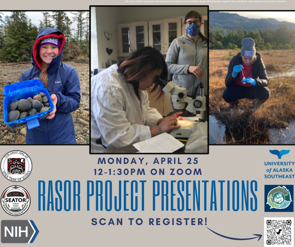 Rasor Project Presentations