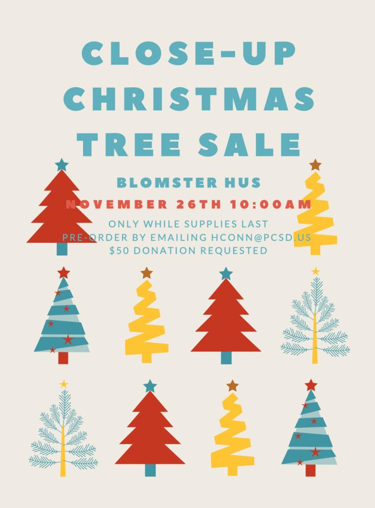 Looking for Tree This Season?